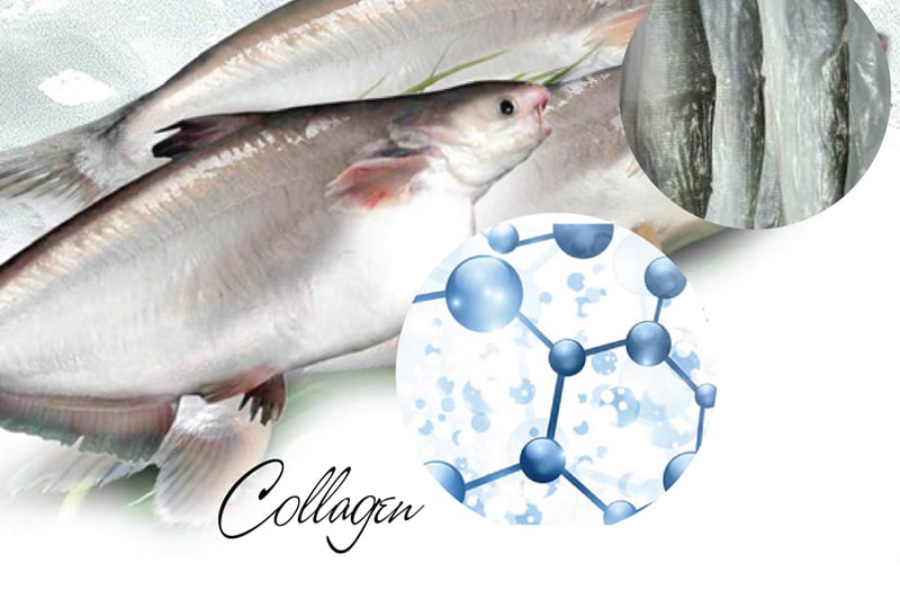 Cấu trúc Collagen Peptide từ cá siêu nhỏ mịn