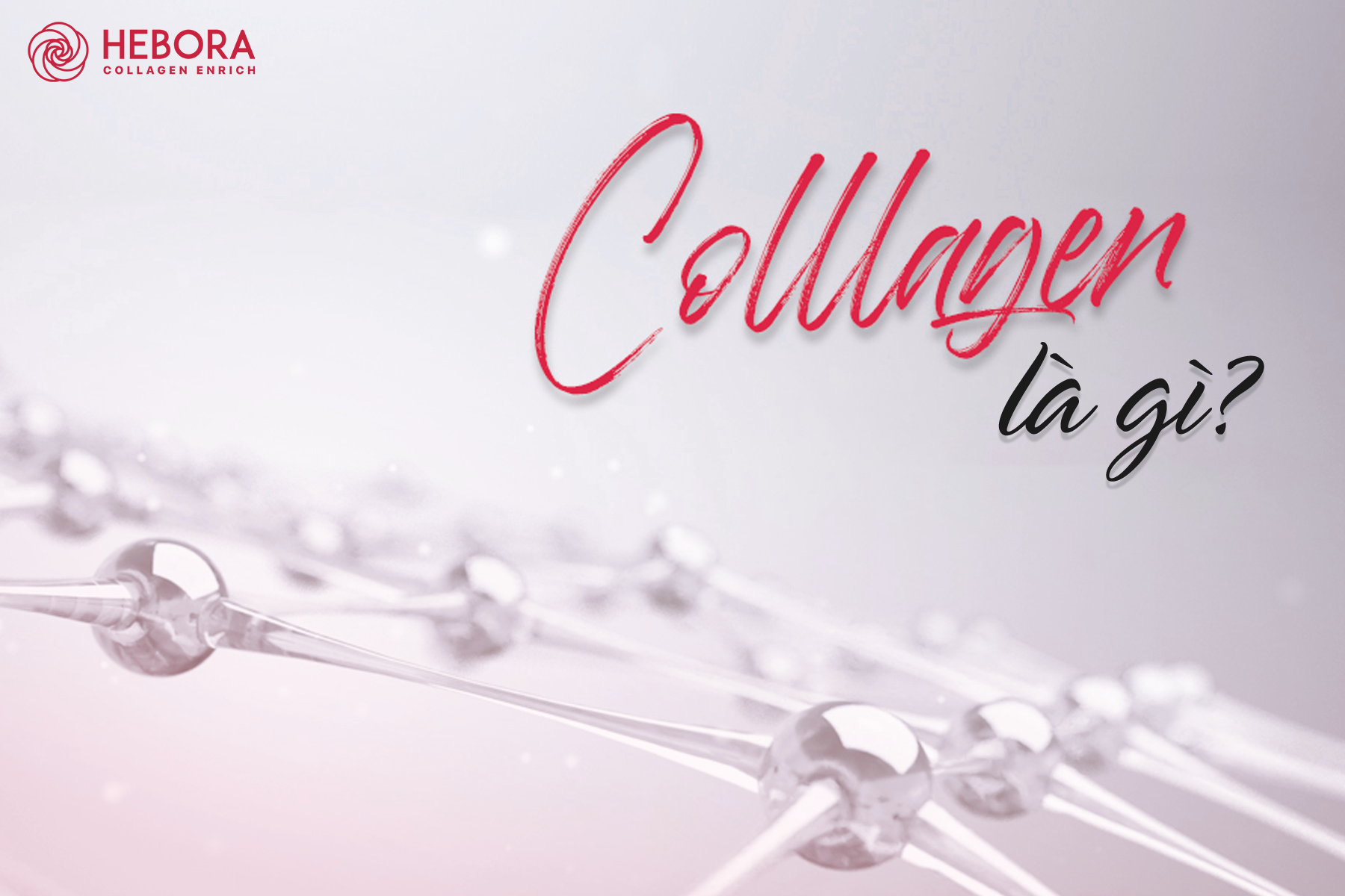 Bạn biết gì về Collagen?