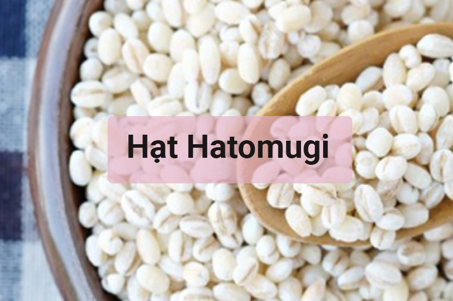 Hạt Hatomugi là gì?