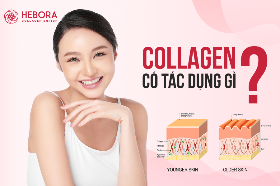 Lợi ích tuyệt vời mà Collagen mang lại