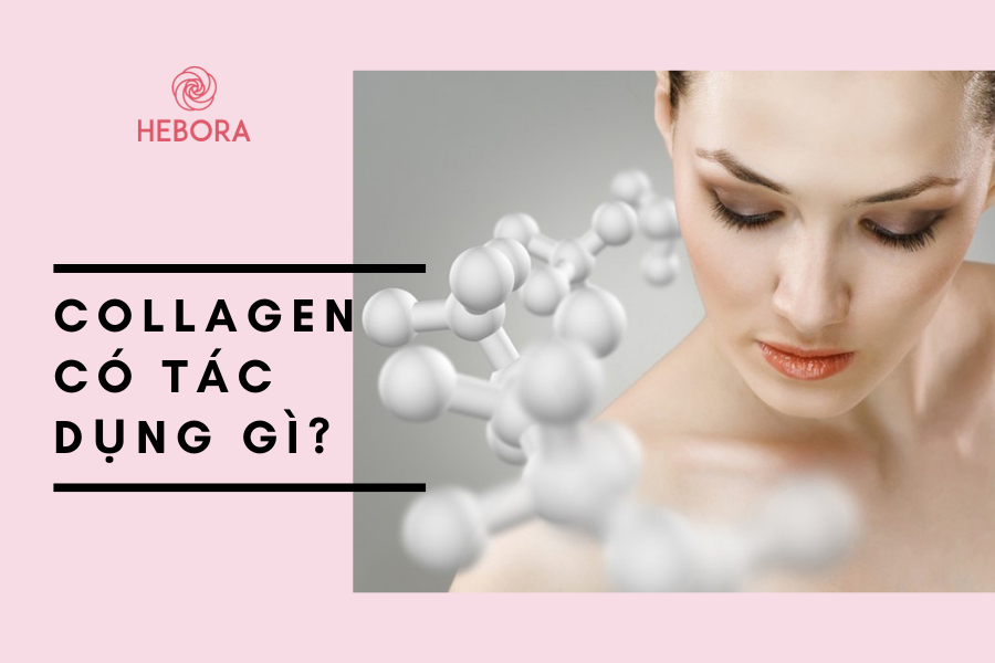 Collagen có tác dụng gì?