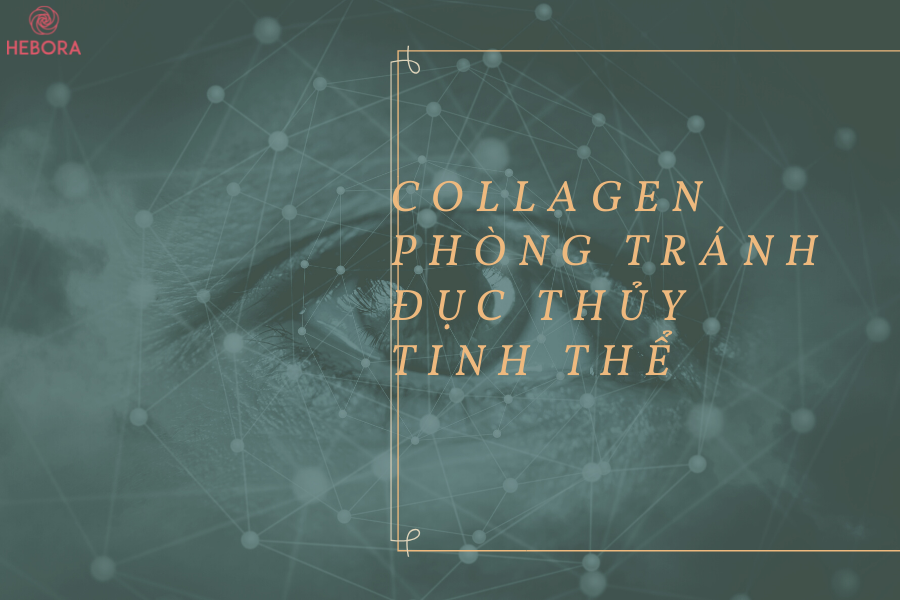 Với Collagen - Đục thủy tinh thể không còn là mối lo quá lớn