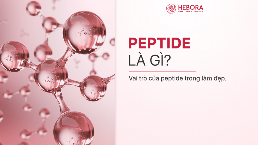 Peptide và vai trò của Peptide trong làm đẹp