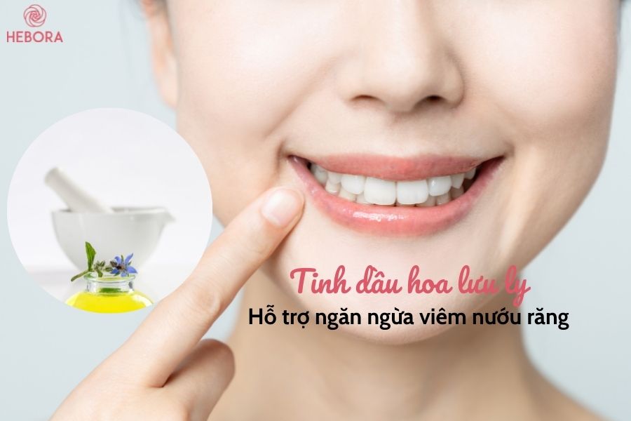 Tinh dầu hoa lưu ly hỗ trợ ngăn ngừa viêm nướu răng