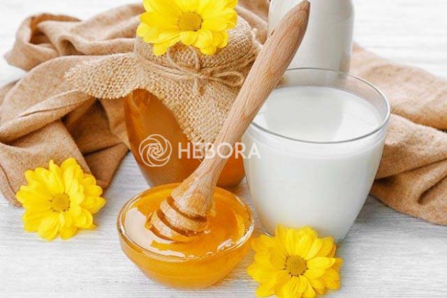 Nên dùng sữa tươi không đường với mật ong