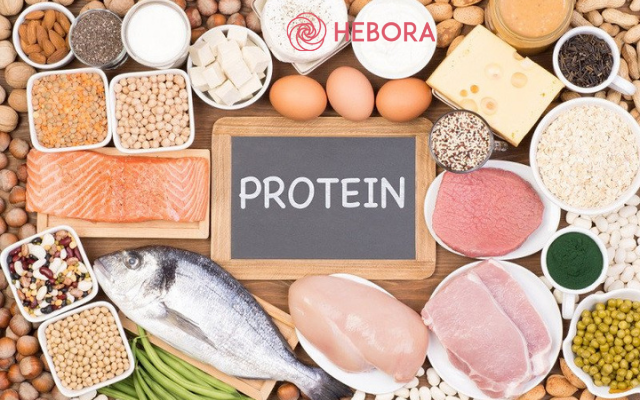 Thực phẩm giàu protein giúp người mới khâu vết thương nhanh khỏi