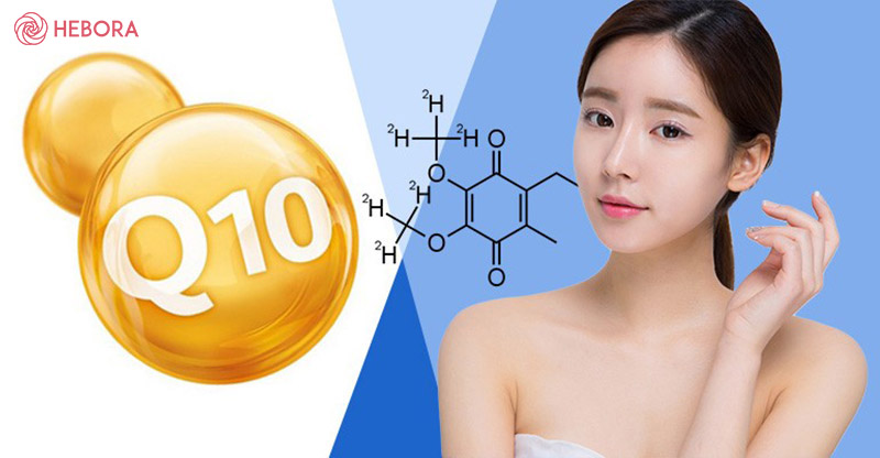 Coenzyme Q10 - Liệu pháp chăm dưỡng chuyên sâu của phụ nữ Nhật