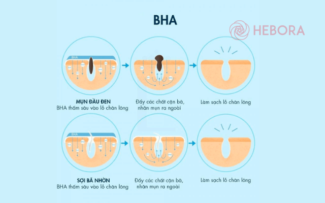 Sơ lược về BHA là gì?